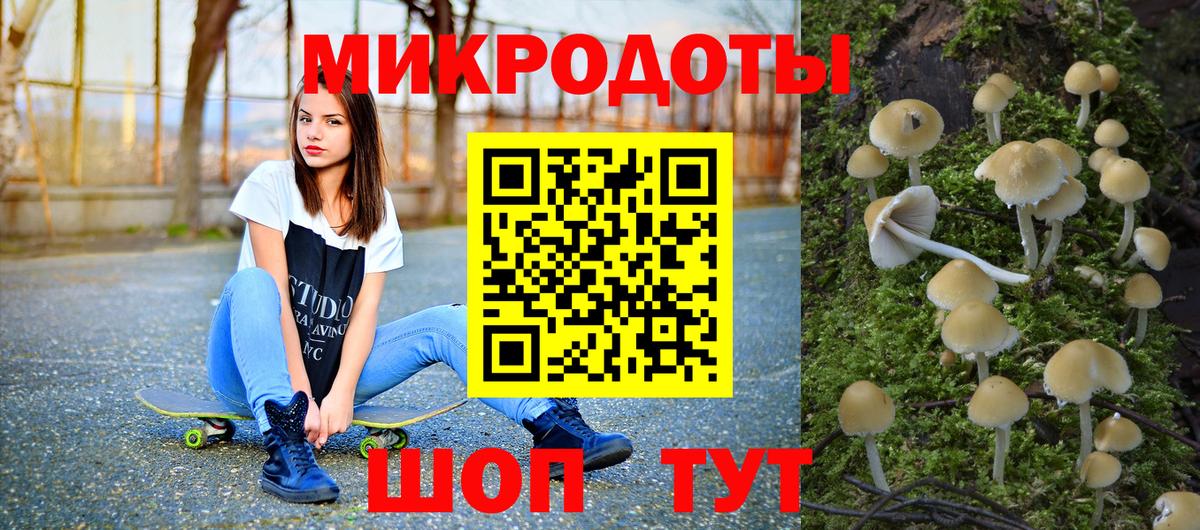 Псилоцибиновые грибы Psilocybine cubensis  Вход с VPN  Псков 