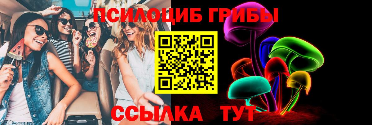 Псилоцибиновые грибы MAGIC MUSHROOMS Псков